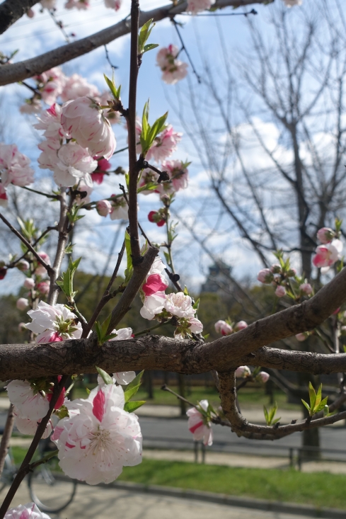 大阪城公園であることを示すためにはやっぱり大阪城。