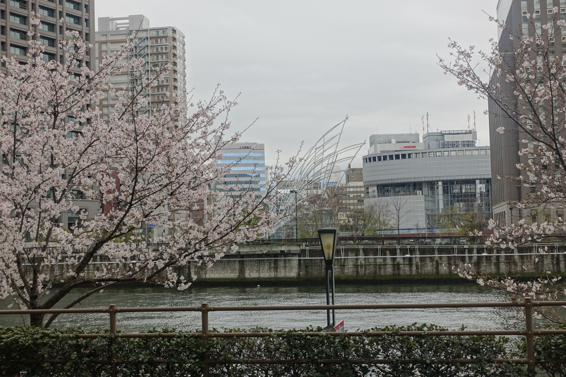 ４月４日の写真のはじまり。堂島川北岸から国立国際美術館を望む。どれかわかりますか？