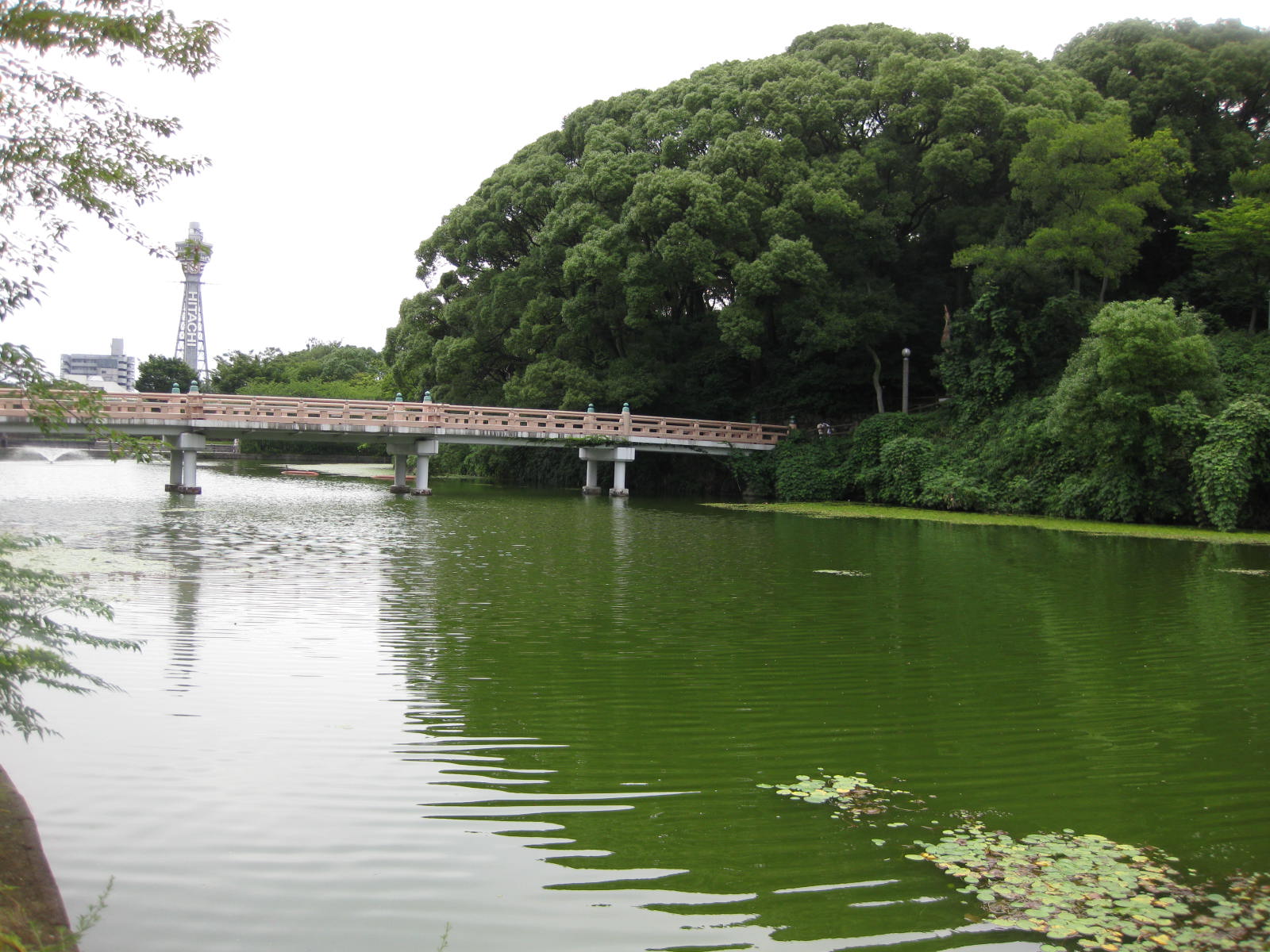 歩いて4分。河底池・和気橋（天王寺公園内）から数分