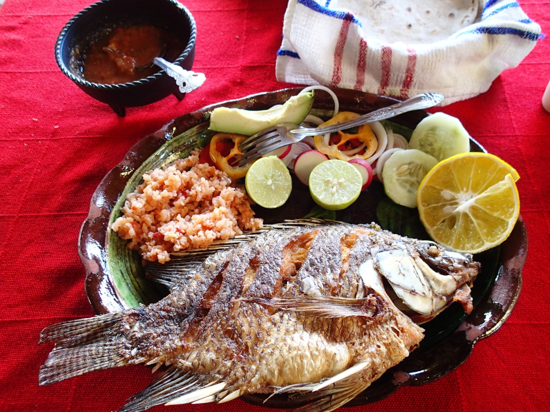 メキシコの料理