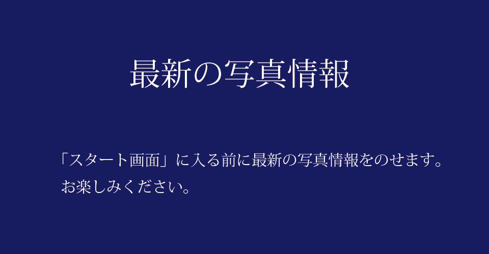 2018年6月に首藤と白木の二人展をした時の様子です